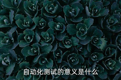 自動(dòng)化測試的意義是什么