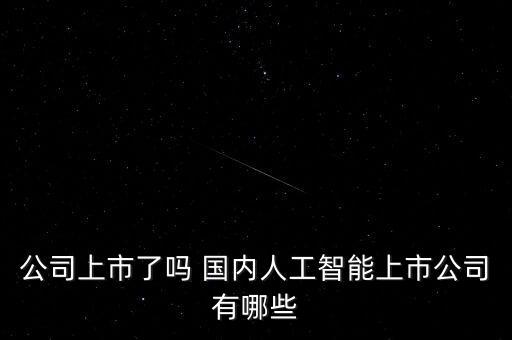 公司上市了嗎 國內人工智能上市公司有哪些