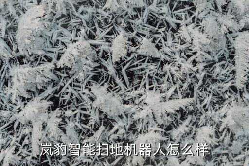 嵐豹智能掃地機(jī)器人怎么樣