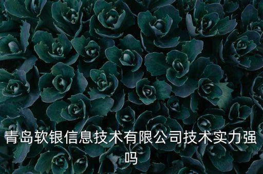 宗盛智能科技公司怎么樣，青島軟銀信息技術(shù)有限公司技術(shù)實(shí)力強(qiáng)嗎