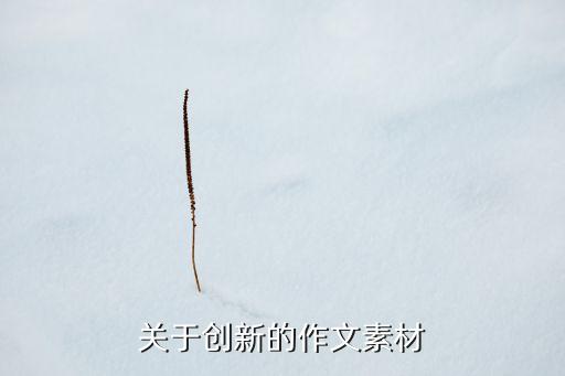 關(guān)于創(chuàng)新的作文素材