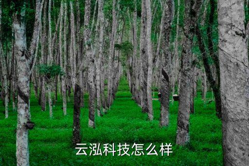 云儒智能科技怎么樣，云泓科技怎么樣
