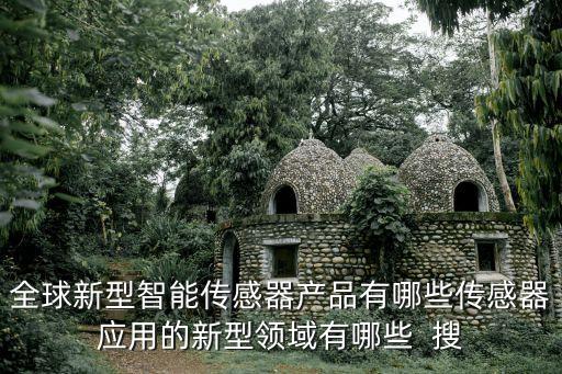 全球新型智能傳感器產(chǎn)品有哪些傳感器應(yīng)用的新型領(lǐng)域有哪些  搜