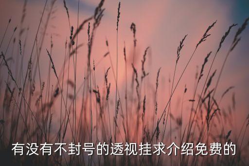 有沒有不封號的透視掛求介紹免費的