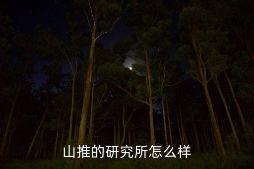 懷化菲馬智能科技怎么樣，air force 25 low的性能怎么樣有什么科技啊