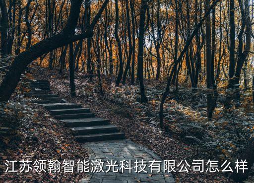 江蘇領(lǐng)翰智能激光科技有限公司怎么樣
