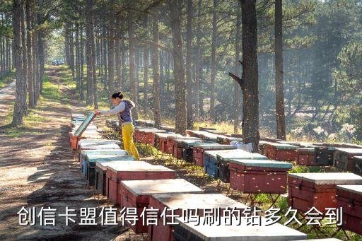 雷神自助下單平臺24小時，自動下單軟件