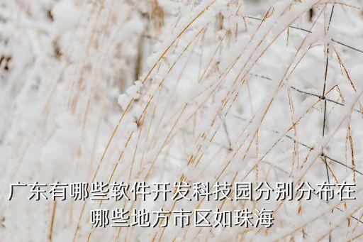 八大智能科技產(chǎn)業(yè)園有哪些，廣東有哪些軟件開發(fā)科技園分別分布在哪些地方市區(qū)如珠海