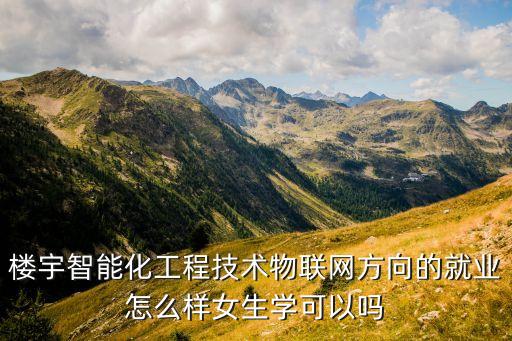 樓宇智能化工程技術(shù)物聯(lián)網(wǎng)方向的就業(yè)怎么樣女生學(xué)可以嗎