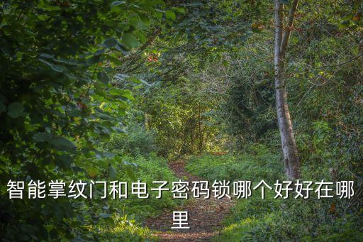 智能掌紋門和電子密碼鎖哪個好好在哪里
