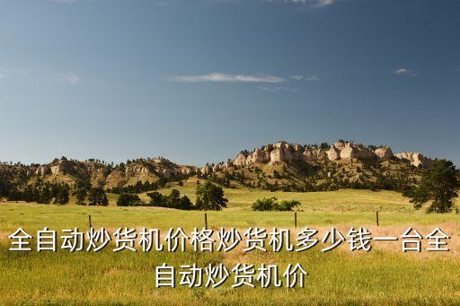 全自動(dòng)炒貨機(jī)，全自動(dòng)炒貨機(jī)價(jià)格炒貨機(jī)多少錢一臺(tái)全自動(dòng)炒貨機(jī)價(jià)