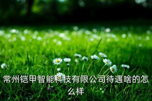 常州鎧甲智能科技有限公司待遇啥的怎么樣