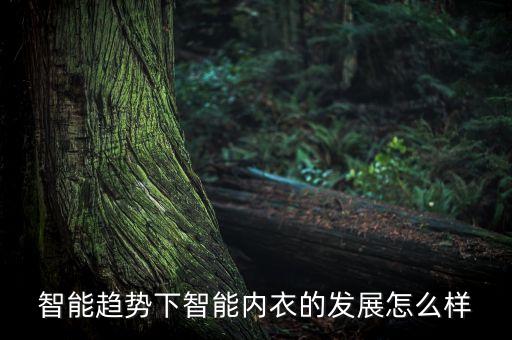 科技智能內(nèi)衣怎么樣的好用，智能內(nèi)衣怎么樣