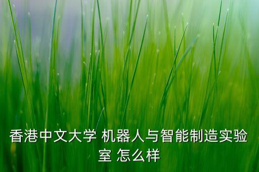 香港中文大學(xué) 機(jī)器人與智能制造實(shí)驗(yàn)室 怎么樣