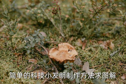 科技小制作自動飲水機教程，簡單科技小制作方法