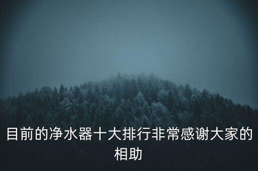 目前的凈水器十大排行非常感謝大家的相助