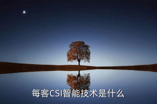每客CSI智能技術(shù)是什么
