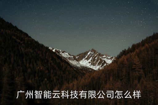 廣州智能云科技有限公司怎么樣
