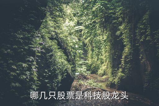 哪幾只股票是科技股龍頭