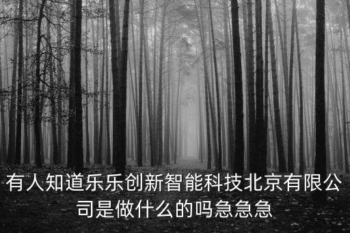 有人知道樂(lè)樂(lè)創(chuàng)新智能科技北京有限公司是做什么的嗎急急急