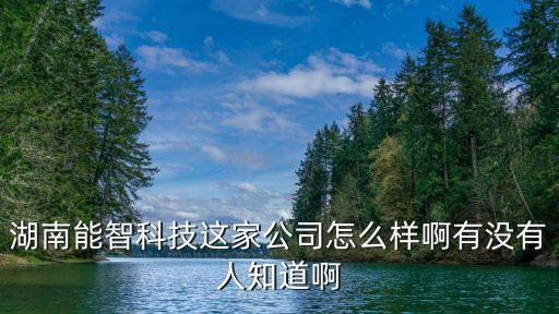 湖南能智科技這家公司怎么樣啊有沒有人知道啊