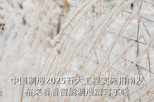 智能制造工程，中國制造2025五大工程實施指南發(fā)布來看看智能制造篇寫了啥
