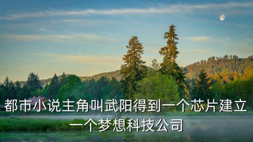 都市小說主角叫武陽得到一個芯片建立一個夢想科技公司
