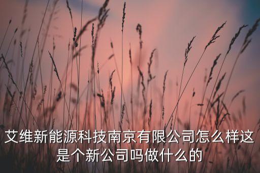 艾維新能源科技南京有限公司怎么樣這是個(gè)新公司嗎做什么的
