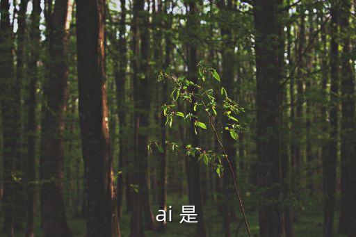 ai 是