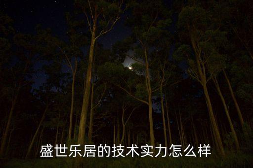 盛世樂居的技術(shù)實(shí)力怎么樣
