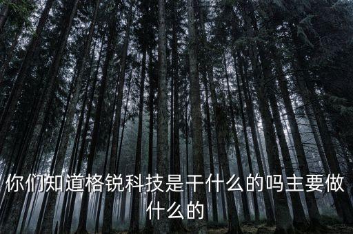 你們知道格銳科技是干什么的嗎主要做什么的