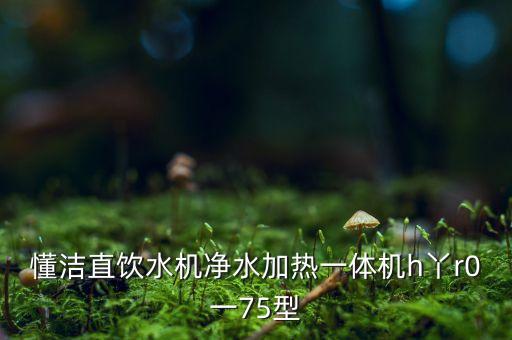 加熱一體直飲水機(jī)，加熱一體直飲機(jī)為什么一邊上水一邊排污水