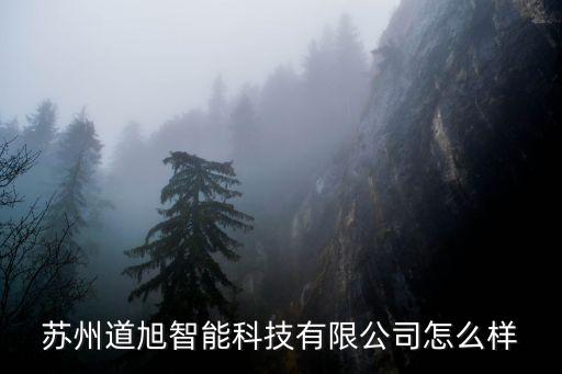 蘇州道旭智能科技有限公司怎么樣