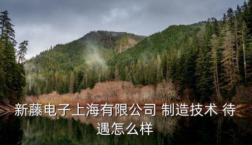 新藤電子上海有限公司 制造技術(shù) 待遇怎么樣