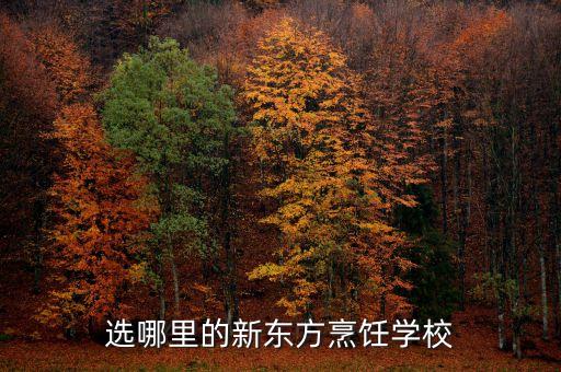 新東方烹飪培訓(xùn)學(xué)校，昆明新東方烹飪學(xué)校環(huán)境怎么樣