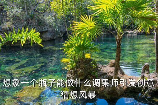 塑料瓶制作100種，想象一個瓶子能做什么調(diào)果師引發(fā)創(chuàng)意猜想風(fēng)暴