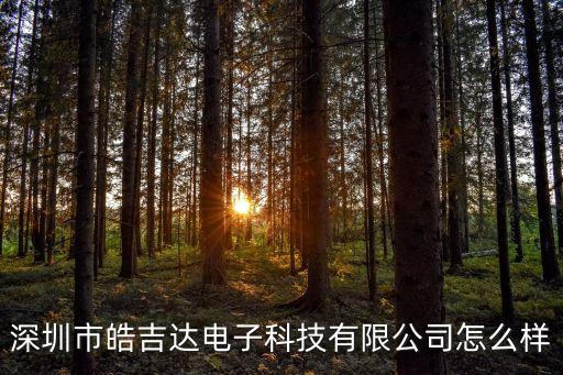 深圳市皓吉達(dá)電子科技有限公司怎么樣