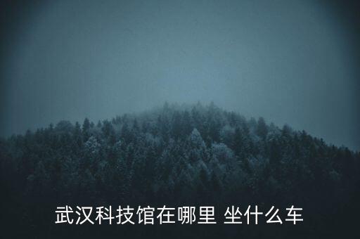 武漢科技館智能風車是什么，風車是什么