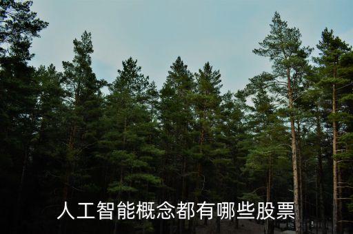 人工智能的股票有哪些，人工智能方面的股票名字有哪些