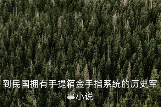 到民國擁有手提箱金手指系統(tǒng)的歷史軍事小說