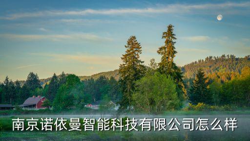 南京諾依曼智能科技有限公司怎么樣