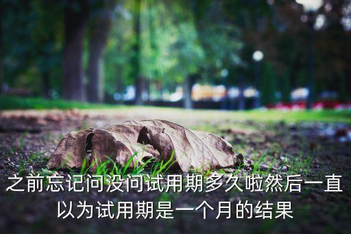 之前忘記問沒問試用期多久啦然后一直以為試用期是一個月的結(jié)果