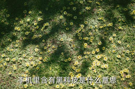 手機里含有黑科技是什么意思