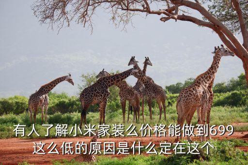 小米家裝全套多少錢，七八十平米的房子裝修全用華為智能家居大概會(huì)用多少錢