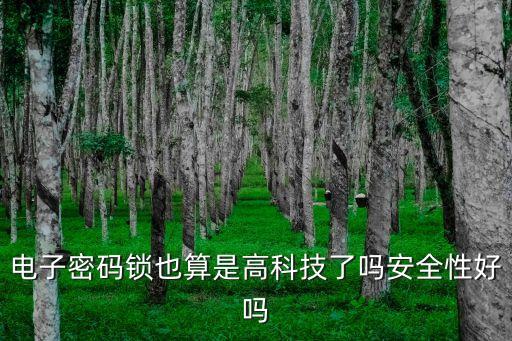 高科技智能鎖怎么樣，電子密碼鎖也算是高科技了嗎安全性好嗎
