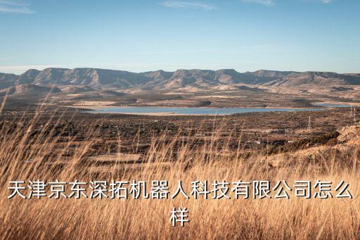 天津京東深拓機(jī)器人科技有限公司怎么樣