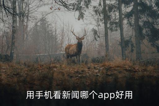 今日頭條和智能科技哪個好，用手機看新聞哪個app好用