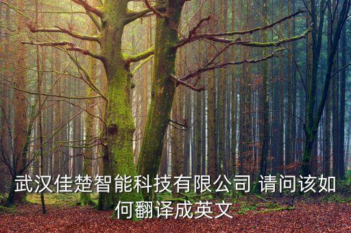 智能科技的英文怎么寫，智能科技的英文是什么