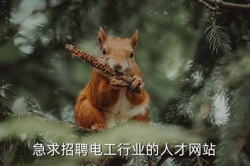 電工招工招聘信息招聘最新信息，企業(yè)招聘電工