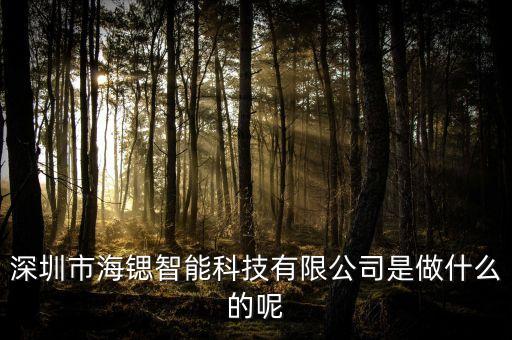 深圳市海鍶智能科技有限公司是做什么的呢